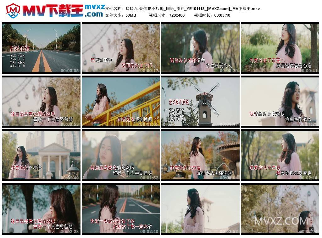 玲玲九-爱你我不后悔_国语_流行_YE101118